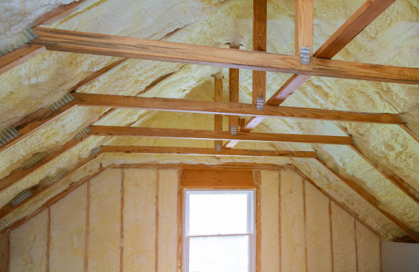 Best Home Insulation Services  in Gholson, TX