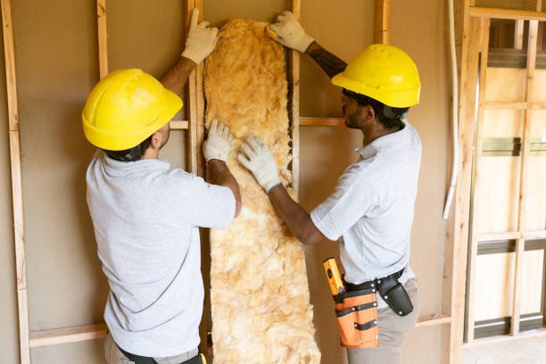 Best Insulation Contractors for Homes  in Gholson, TX