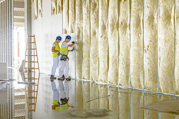 Best Soundproof Insulation Installation  in Gholson, TX